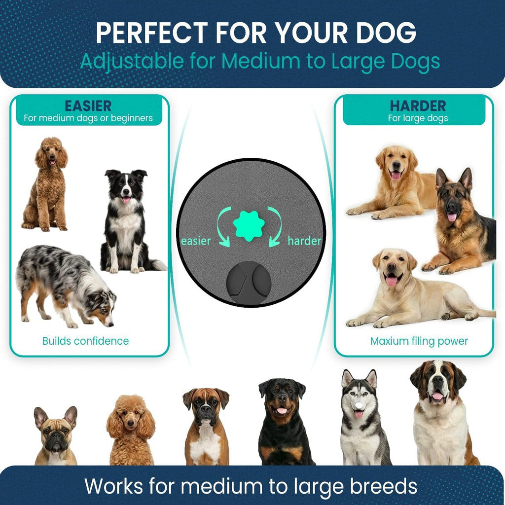 TAILMATES Dog Nail Scratch Board w/ Handheld Nail Filer & Tote Bag